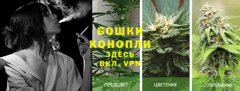 дарк нет наркотические препараты  Барыш  Бошки марихуана OG Kush  где купить наркотик 